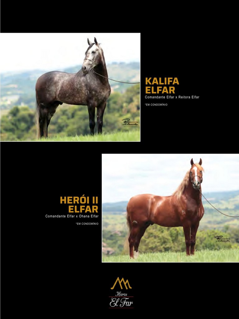 Página 181 Página 181