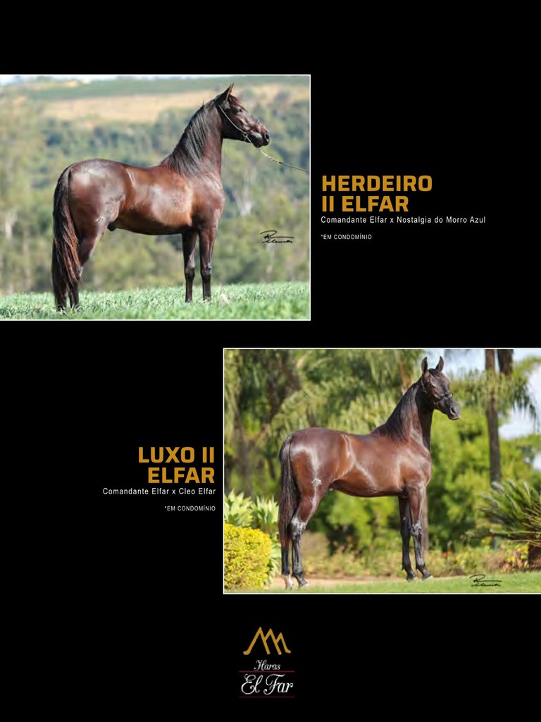 Página 182 Página 182