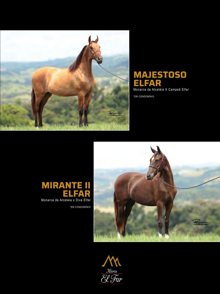 Página 183 Página 183