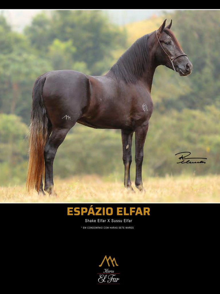 Página 184 Página 184