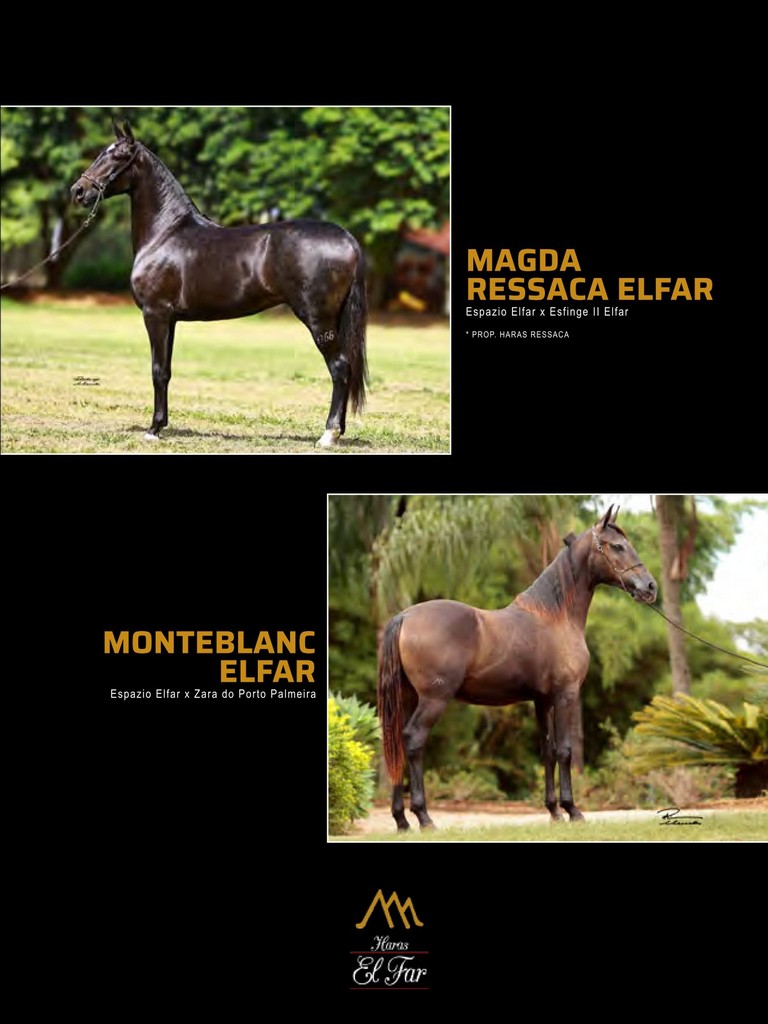 Página 185 Página 185