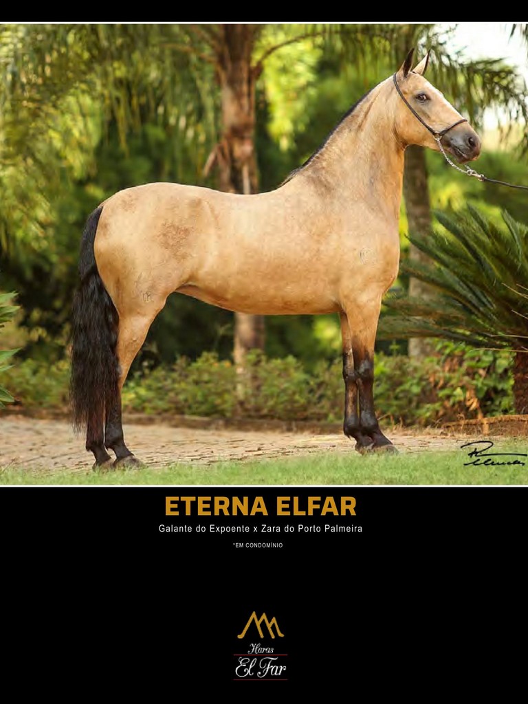 Página 186 Página 186