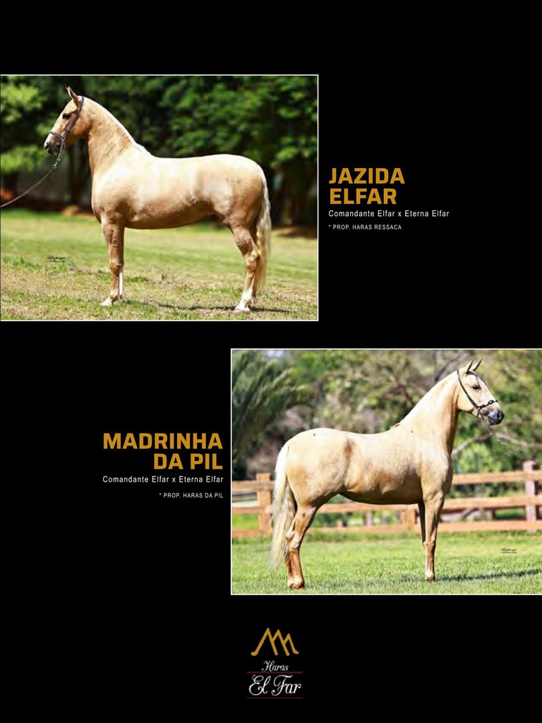 Página 187 Página 187