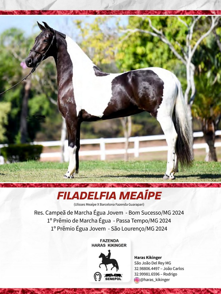 Página 190 Página 190