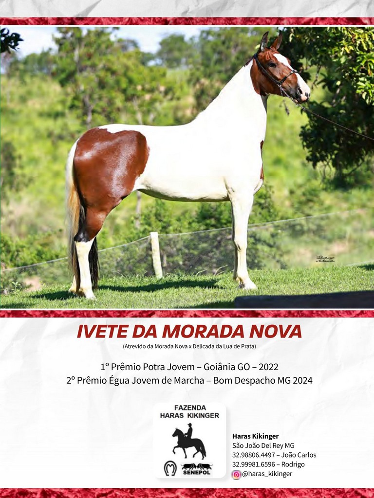 Página 191 Página 191