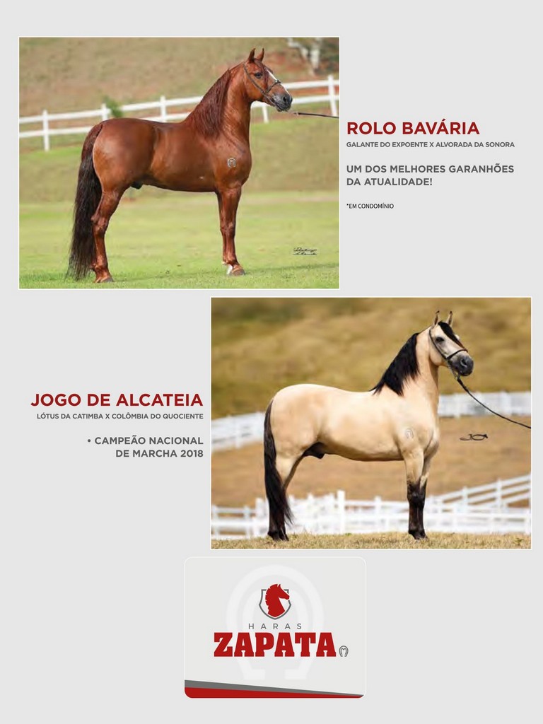 Página 193 Página 193