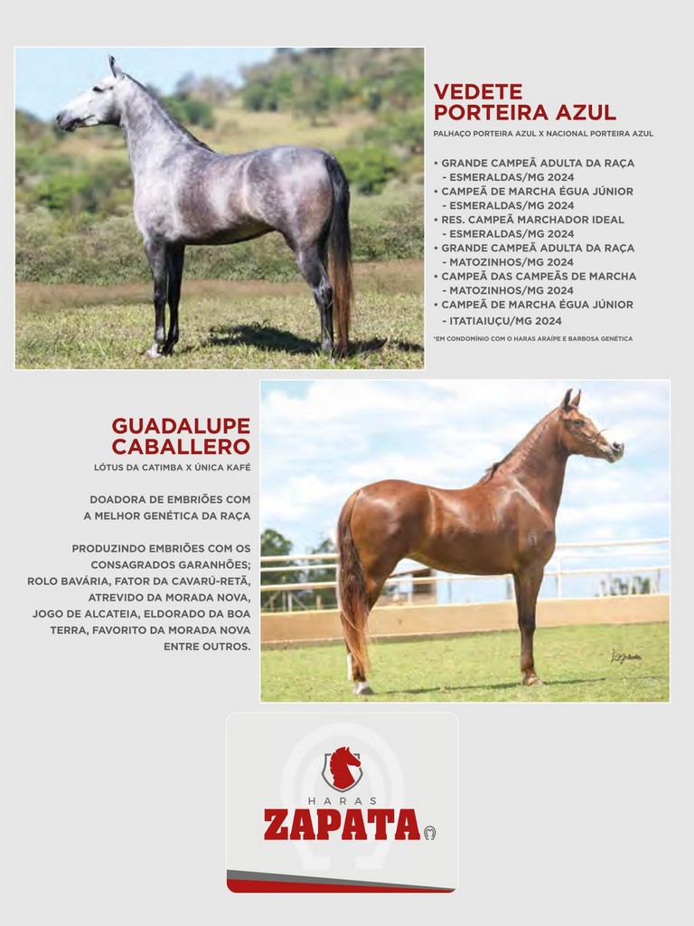 Página 194 Página 194