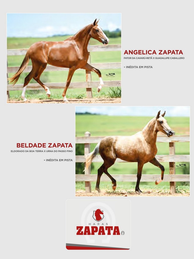 Página 195 Página 195