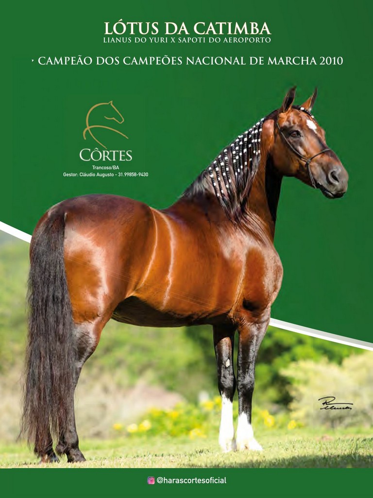 Página 196 Página 196