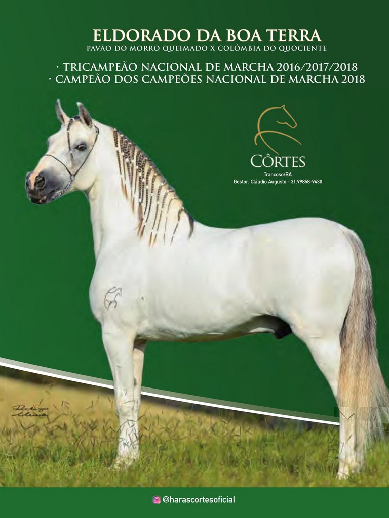 Página 197 Página 197