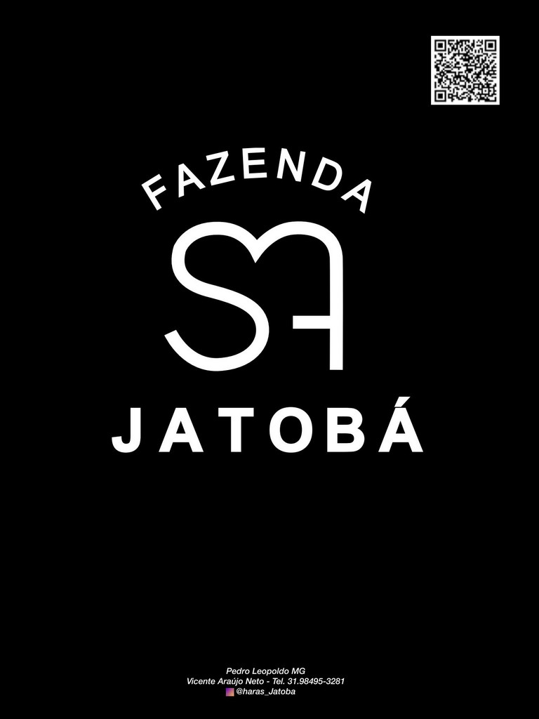 Página 198 Página 198