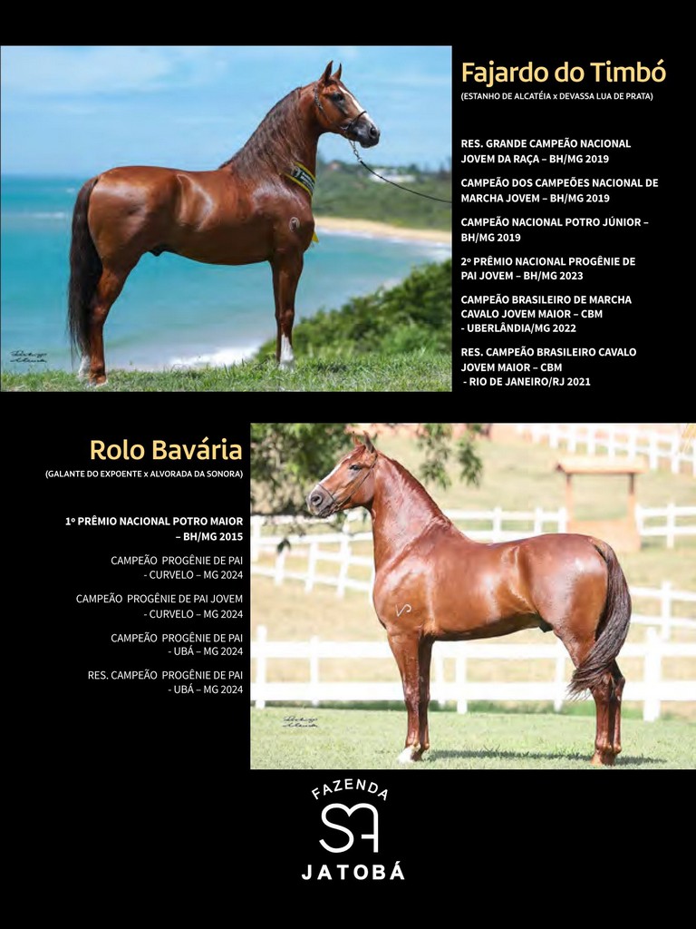 Página 199 Página 199