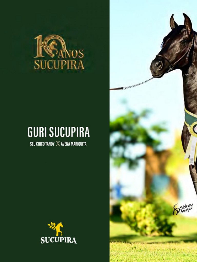 Página 20 Página 20