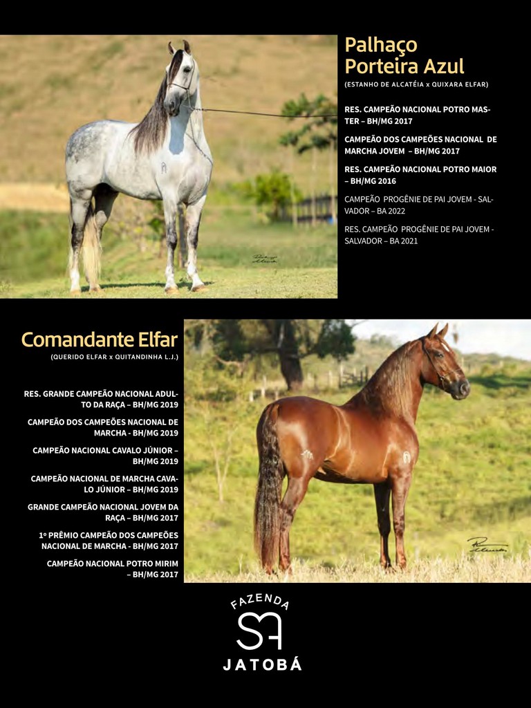 Página 200 Página 200