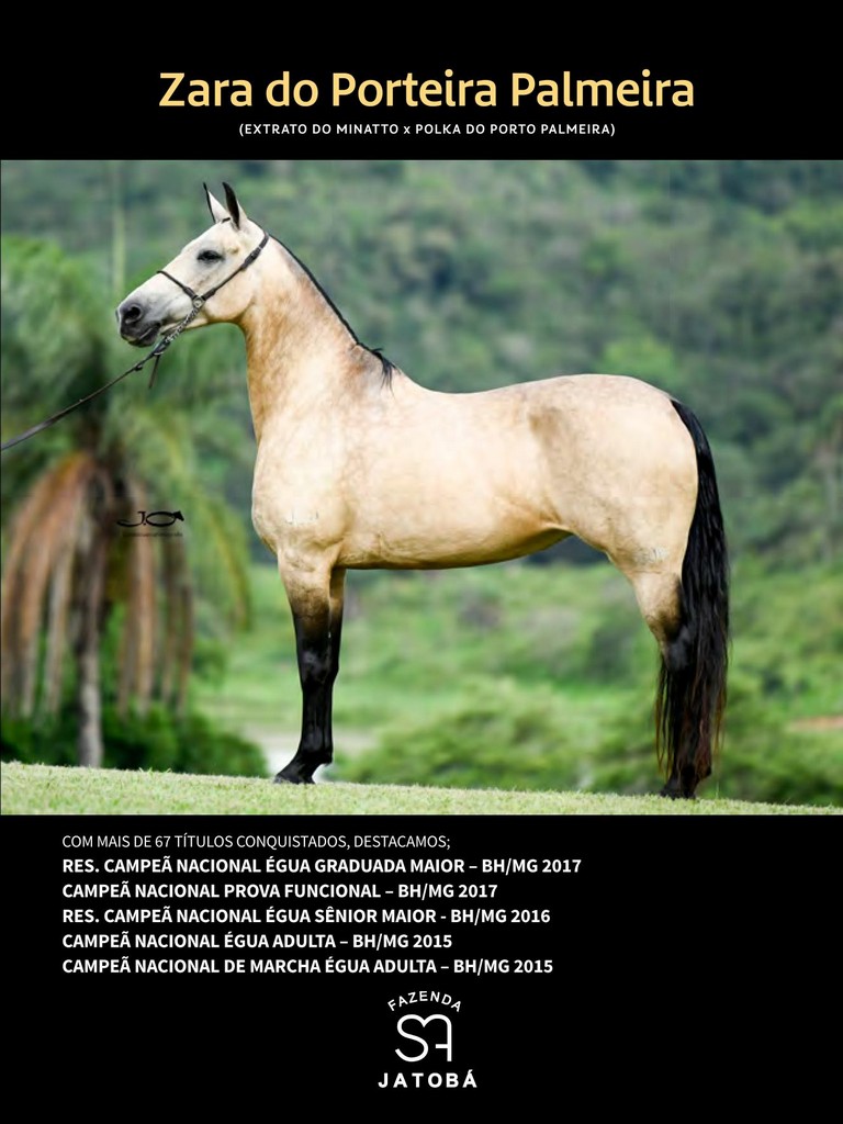 Página 201 Página 201