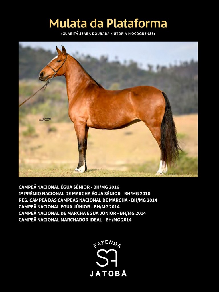 Página 202 Página 202