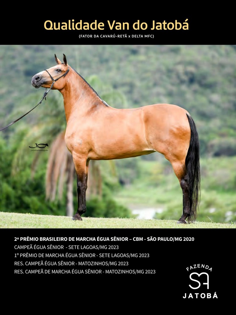 Página 204 Página 204