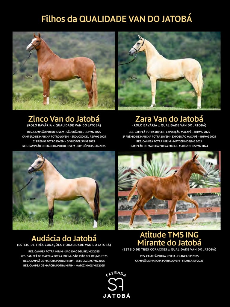 Página 205 Página 205