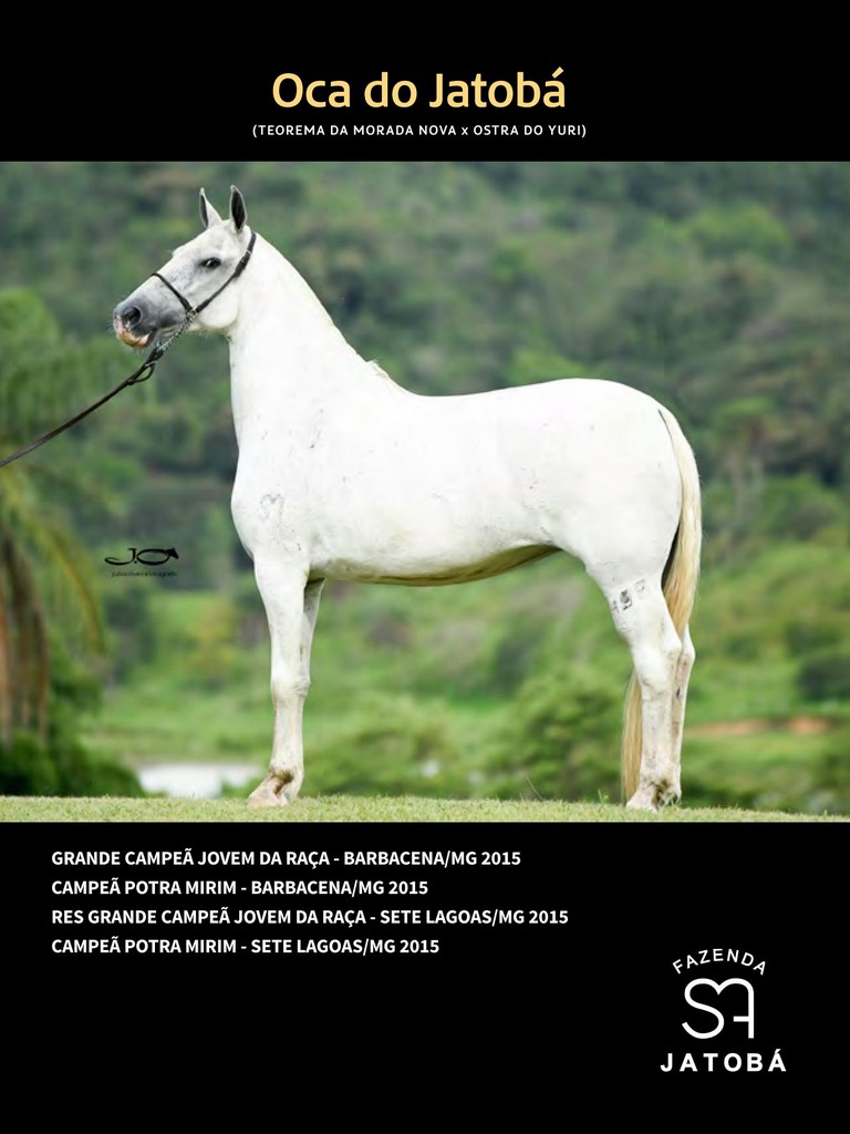 Página 206 Página 206