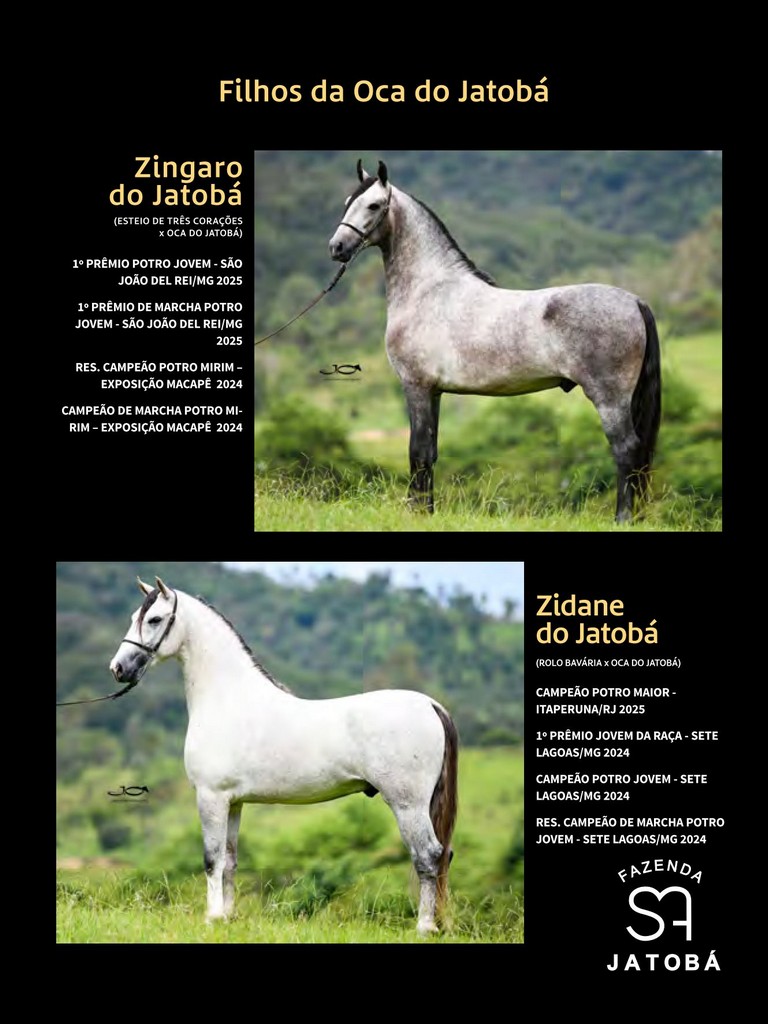 Página 207 Página 207