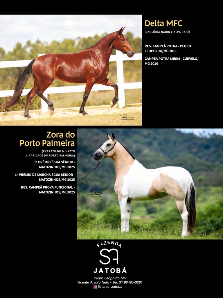 Página 208 Página 208