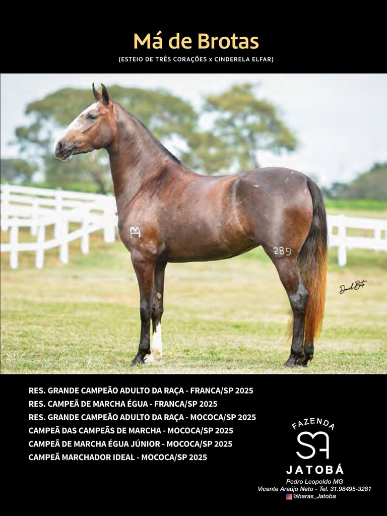 Página 209 Página 209