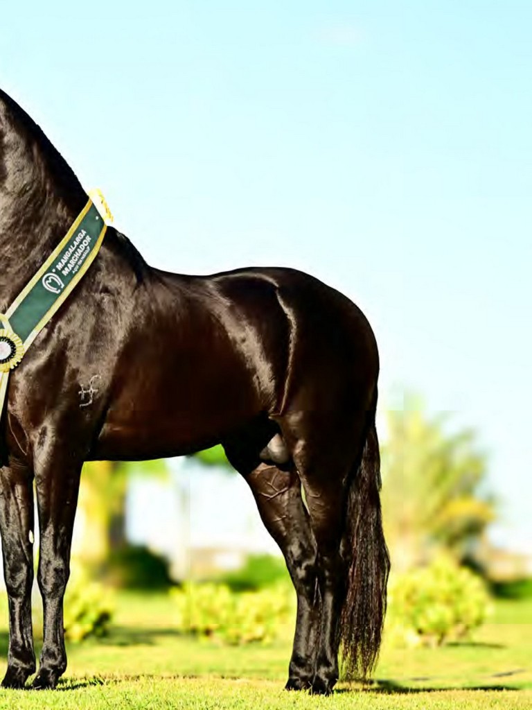 Página 21 Página 21