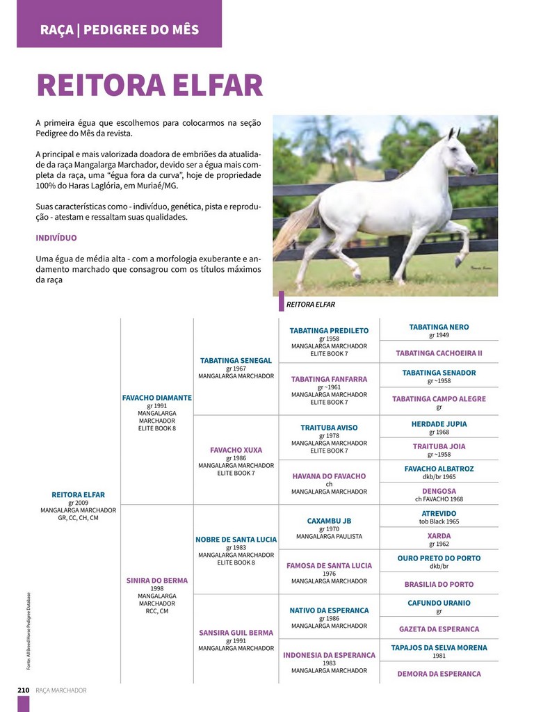 Página 210 Página 210