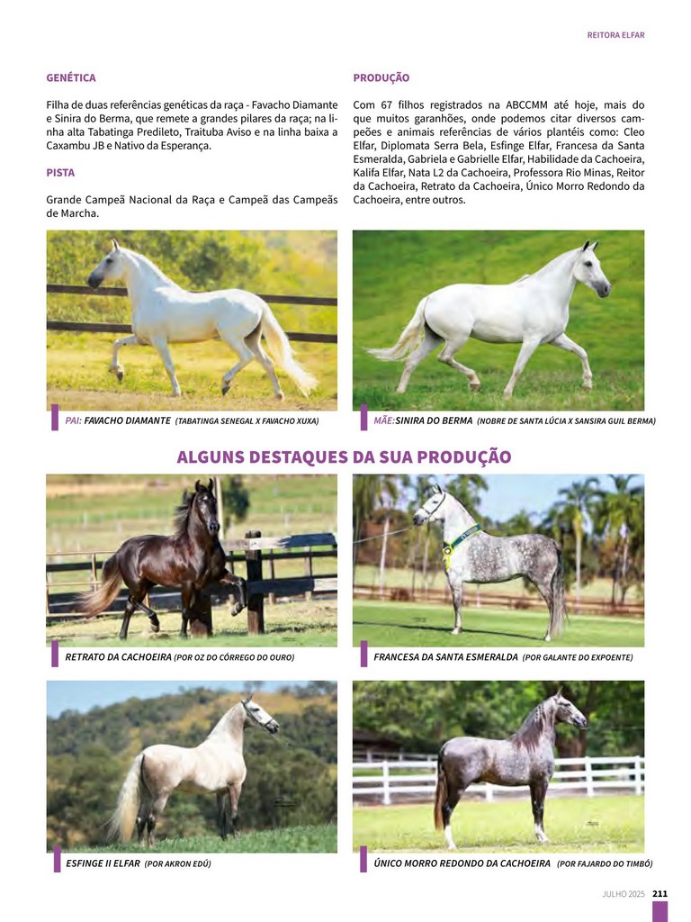 Página 211 Página 211