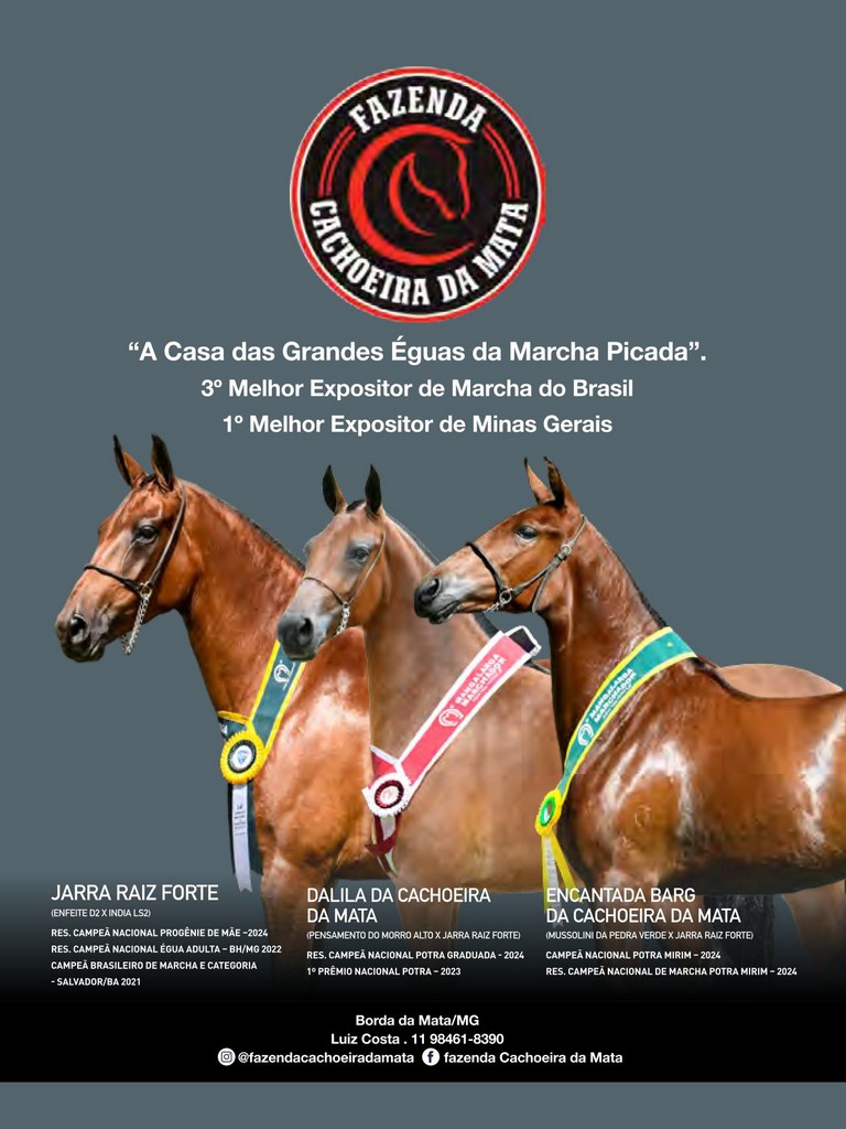 Página 212 Página 212