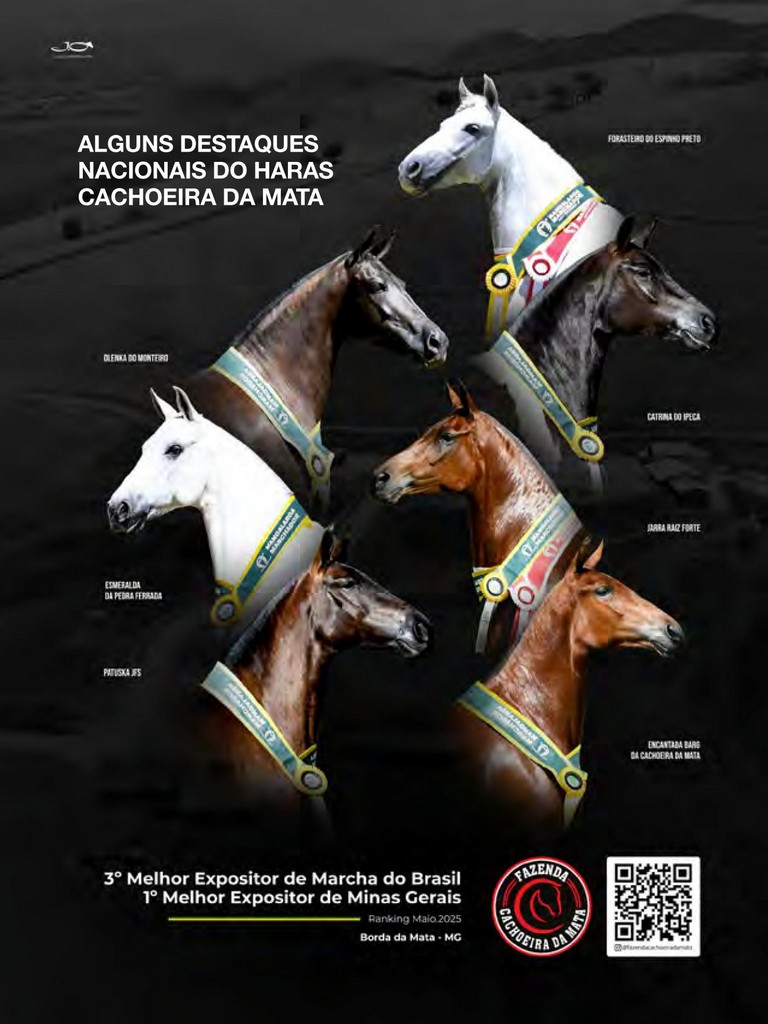 Página 213 Página 213