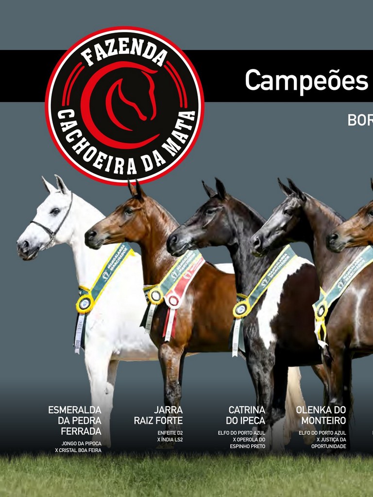 Página 214 Página 214