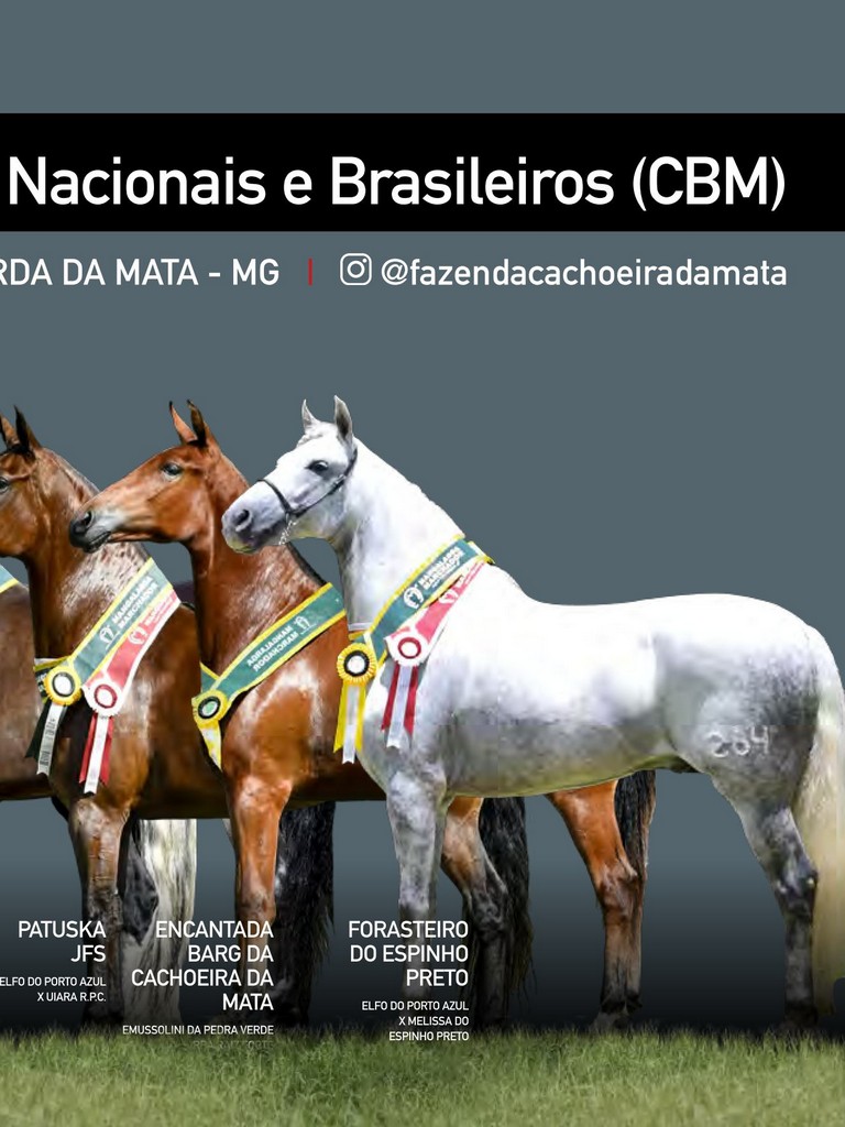 Página 215 Página 215