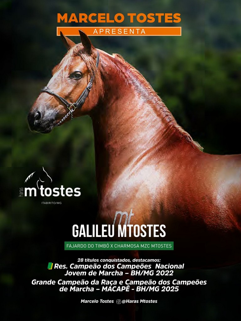 Página 216 Página 216