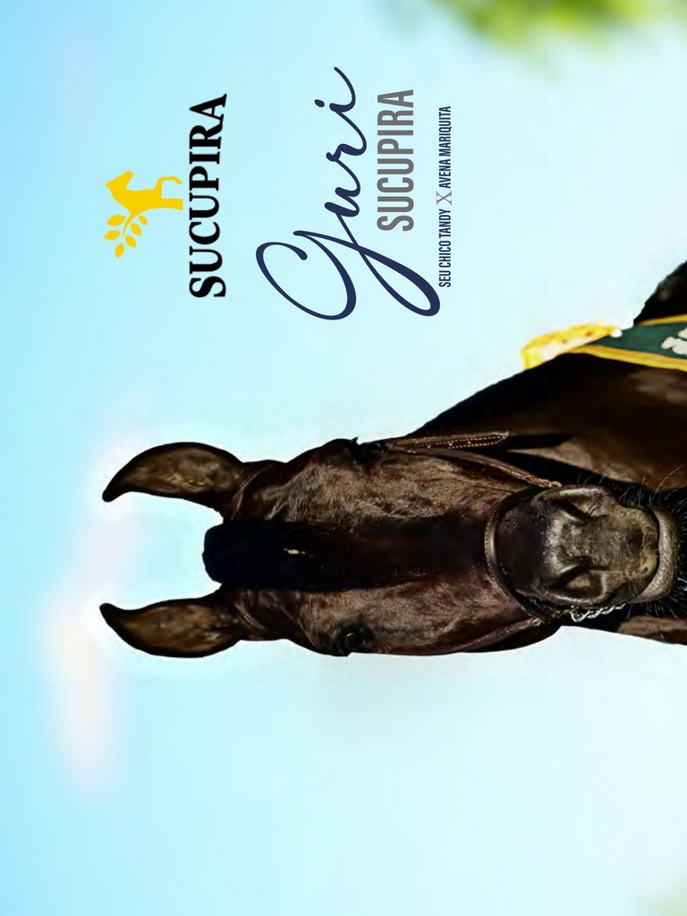 Página 22 Página 22