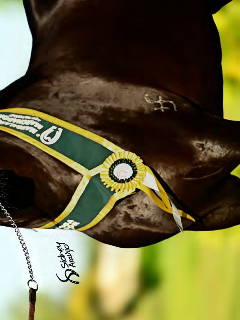 Página 23 Página 23