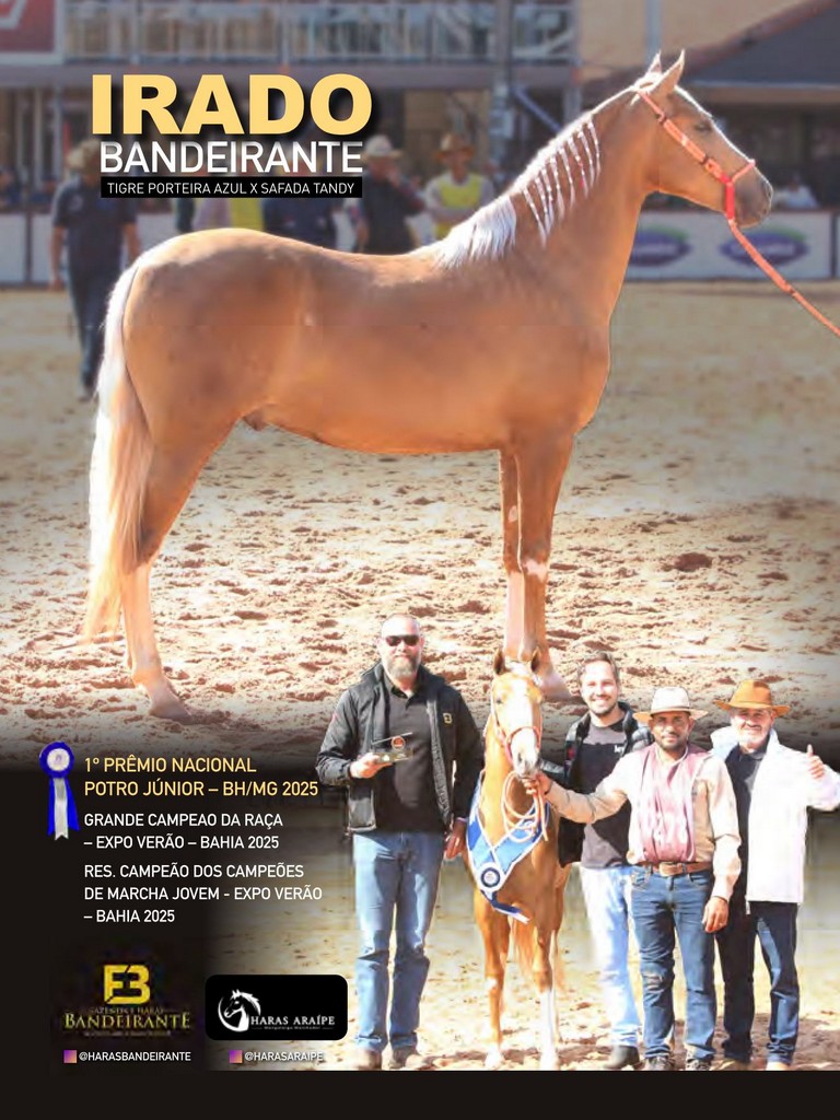 Página 25 Página 25