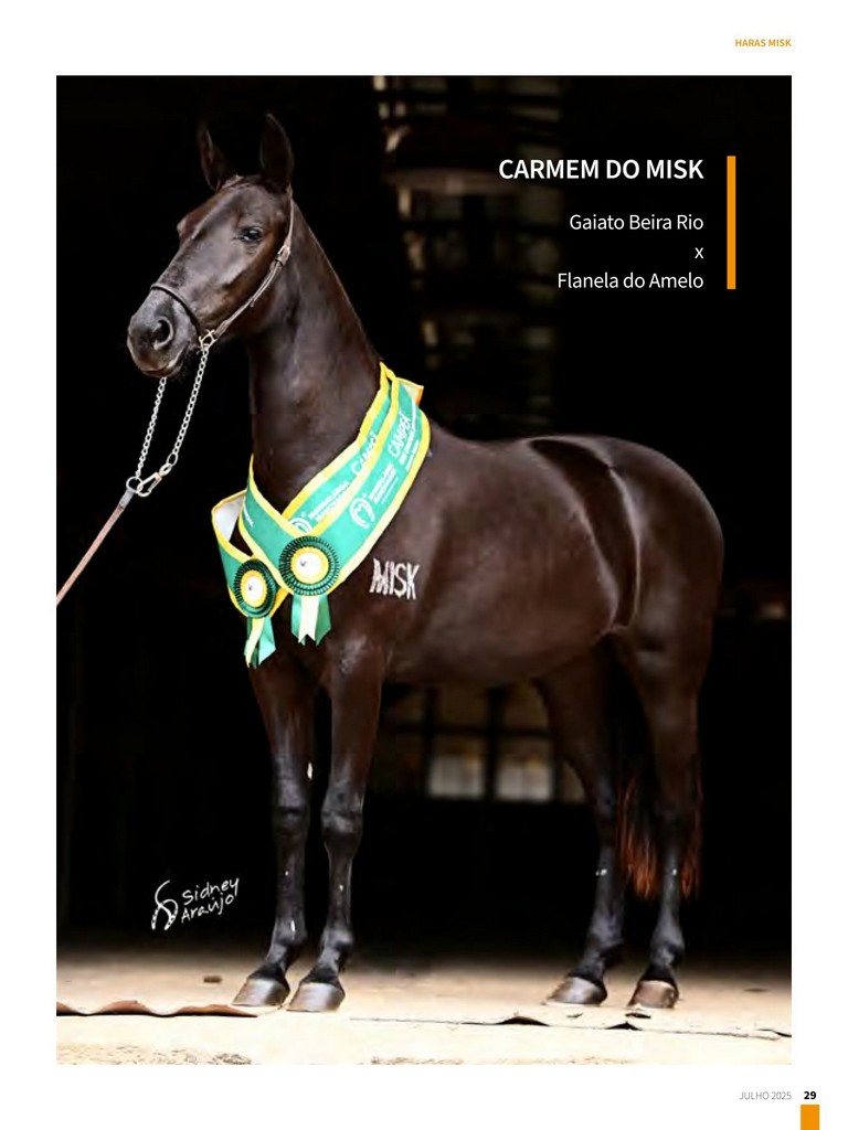 Página 29 Página 29