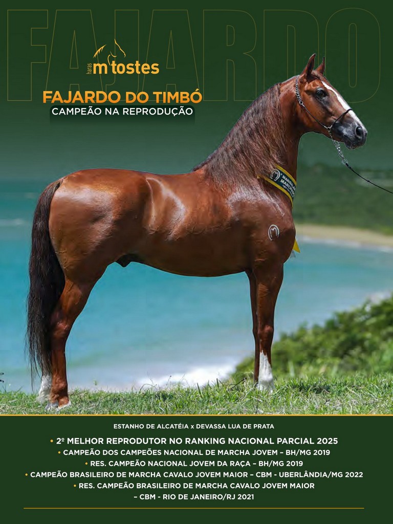 Página 30 Página 30