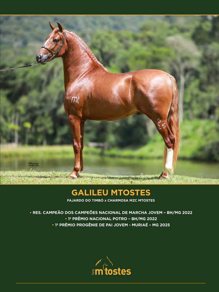 Página 31 Página 31