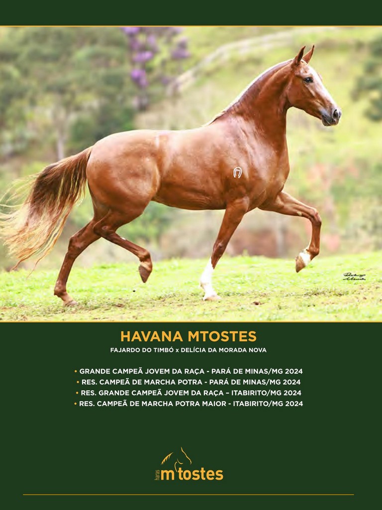 Página 32 Página 32