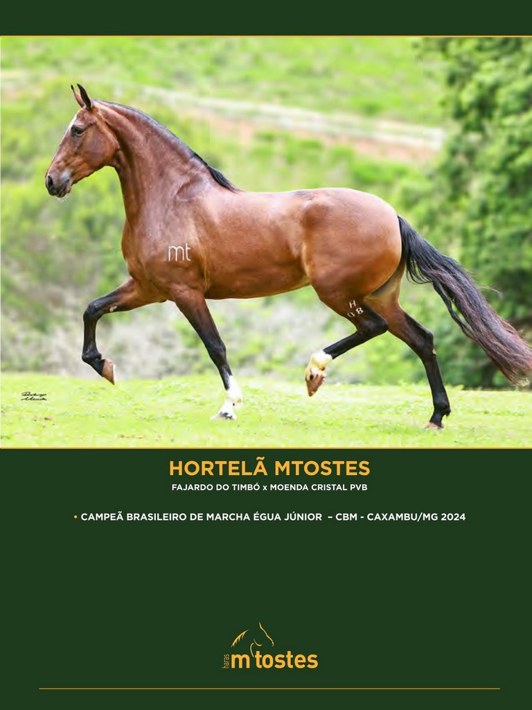 Página 33 Página 33