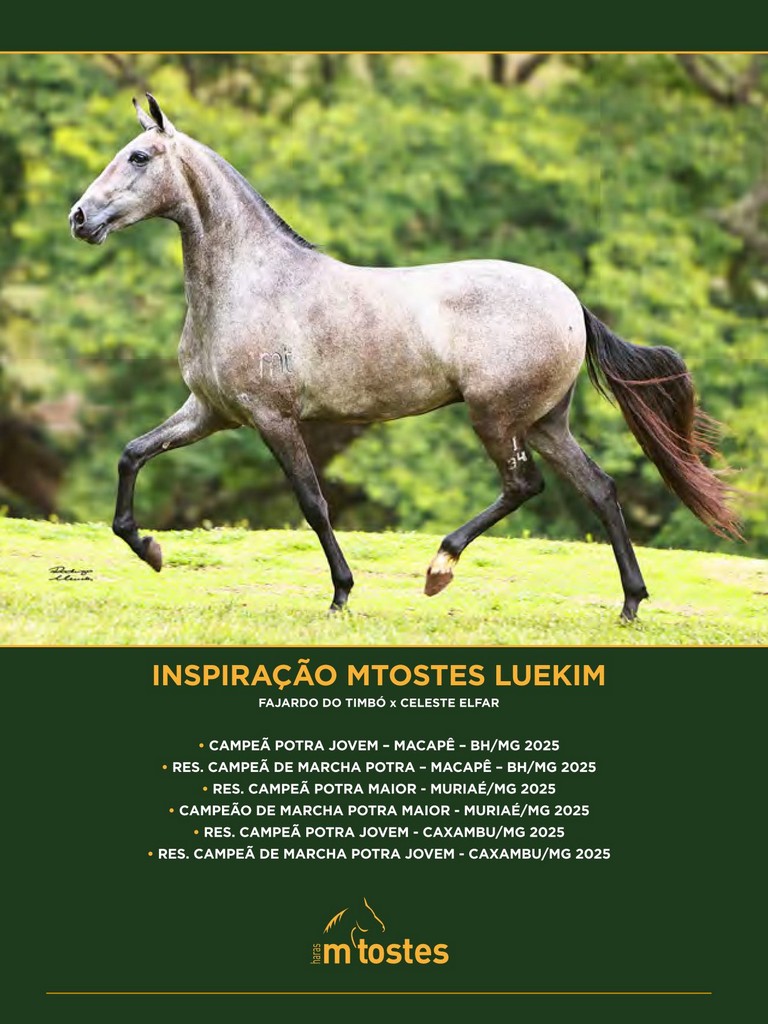 Página 34 Página 34