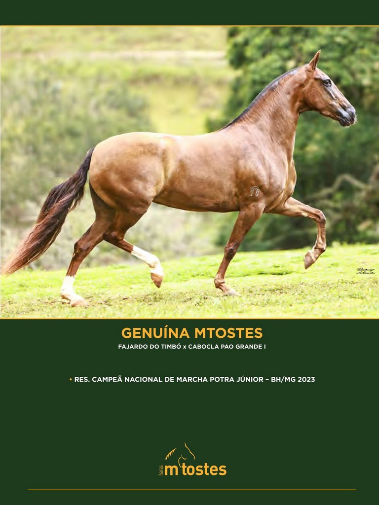 Página 35 Página 35