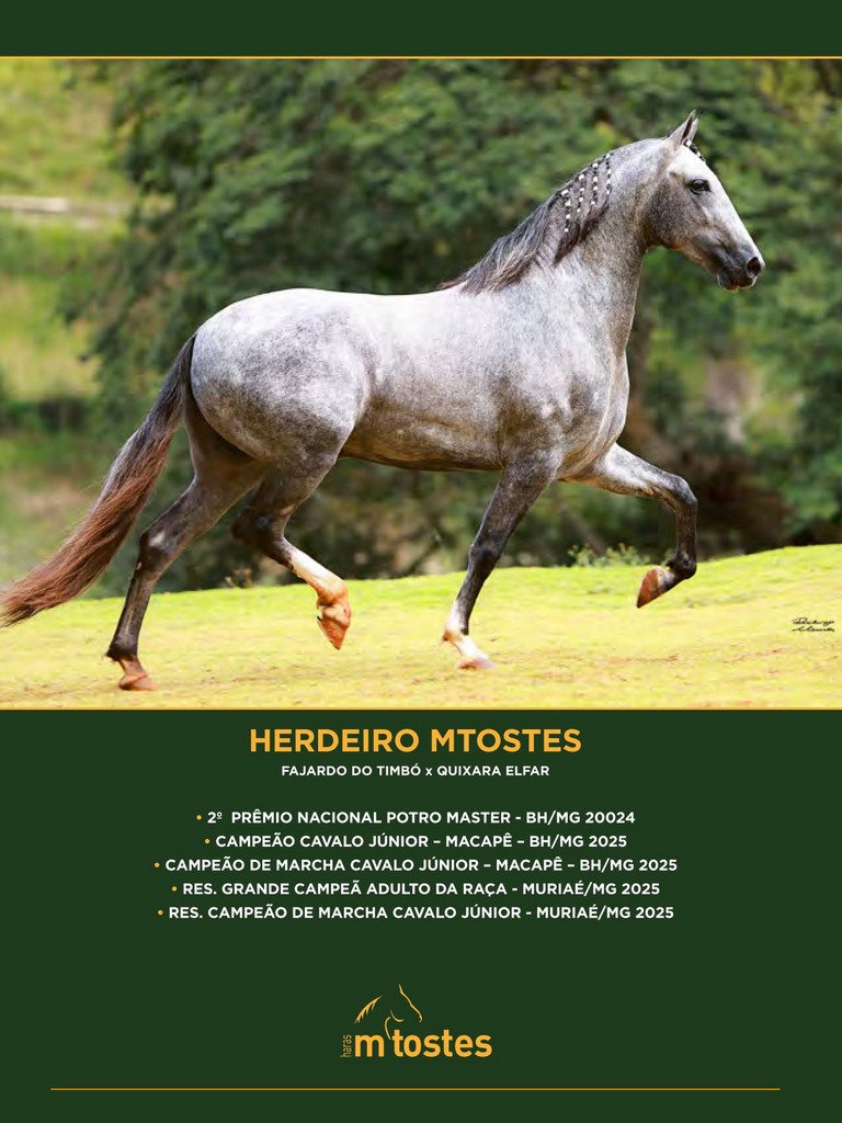 Página 36 Página 36