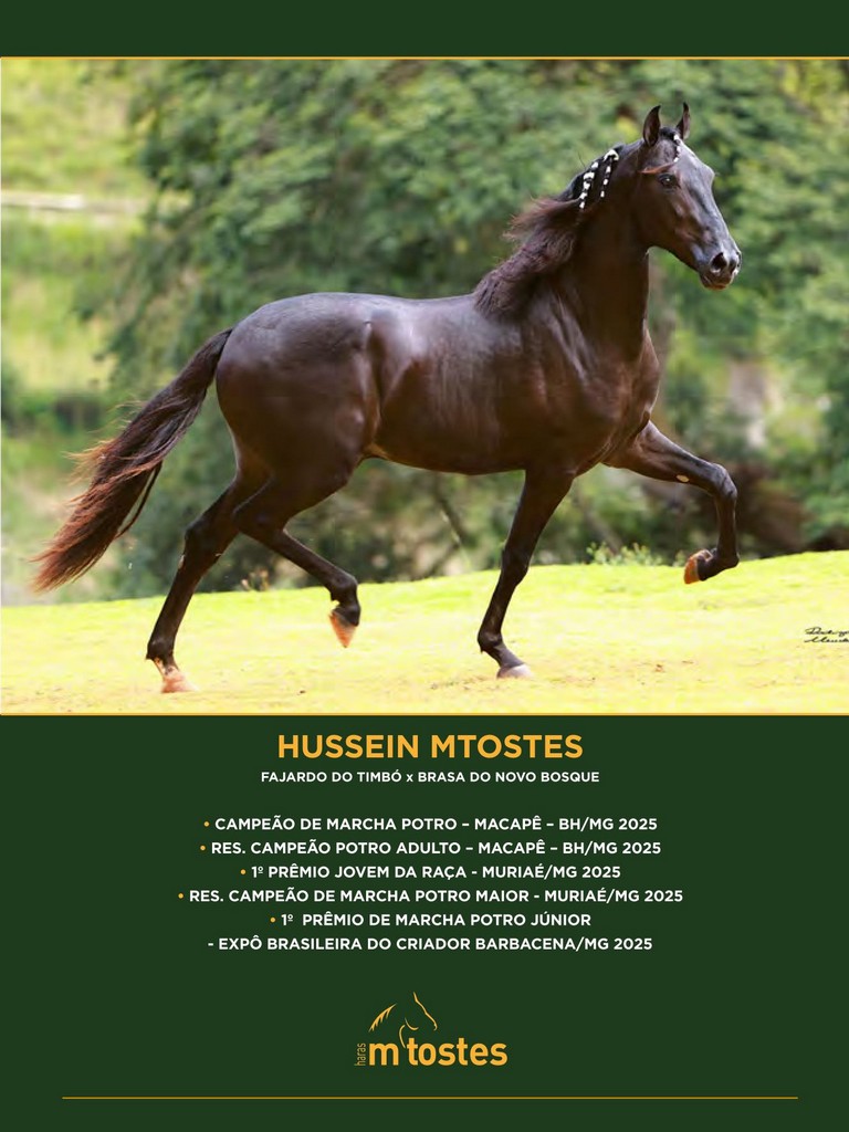 Página 37 Página 37