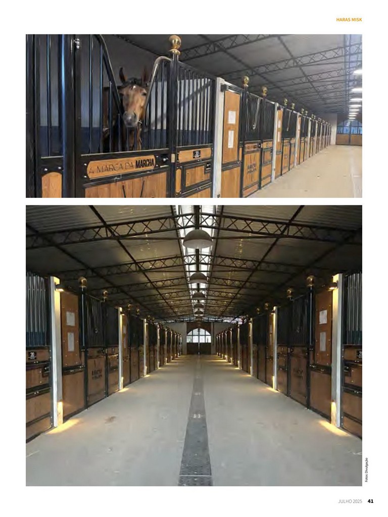 Página 41 Página 41