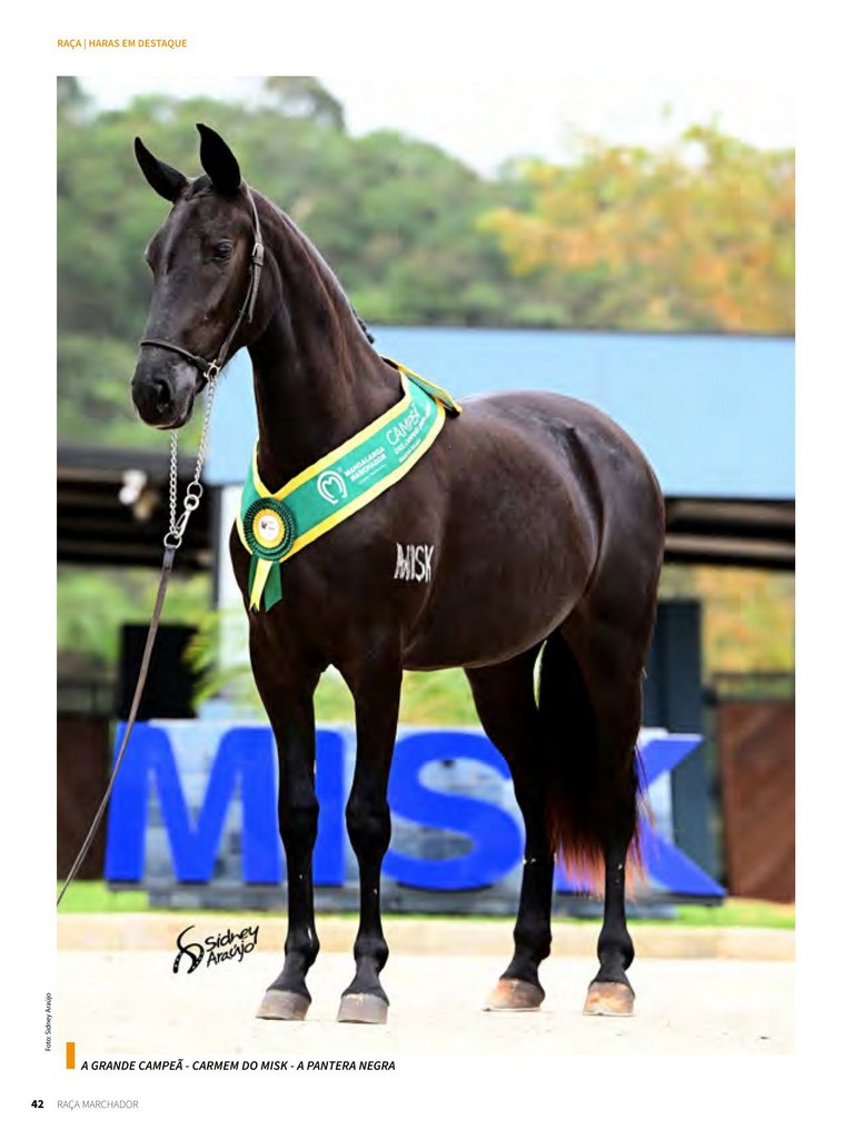 Página 42 Página 42