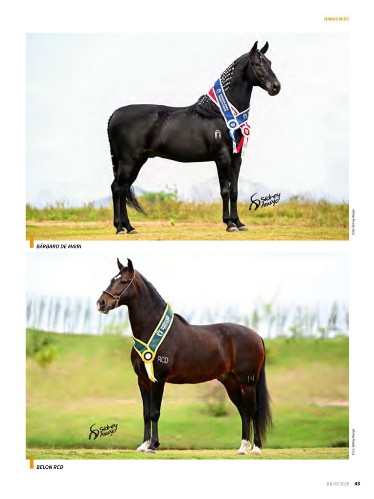 Página 43 Página 43