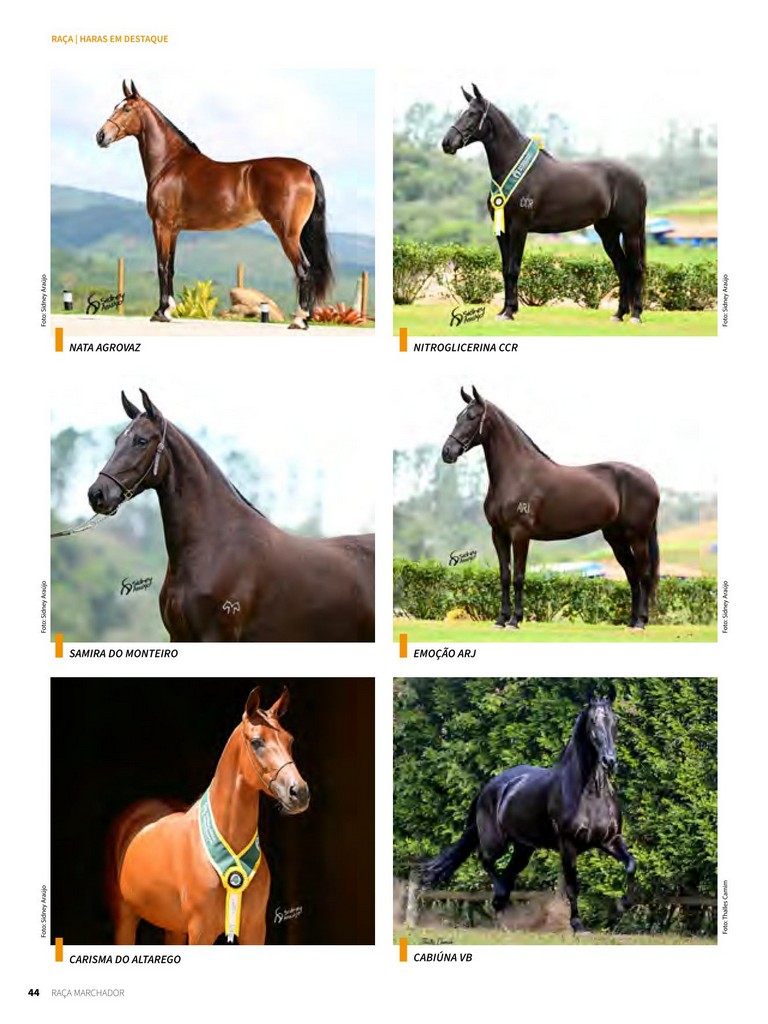 Página 44 Página 44